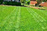 Bruce Landscaping & Maintenance photo 2