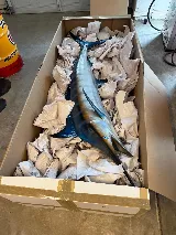 Rigo’s Delivery Moving & Storage Inc. photo 2