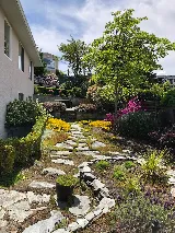 Island Eco-Scapes photo 3