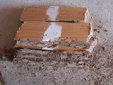 AB-CON Termite and Pest Control photo 2