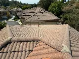 Green Ladder Roofing and Waterproofing photo 4