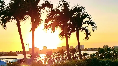 Clean Waves Pool Services LLC in Clearwater