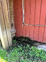 AAA Pest Control photo 3