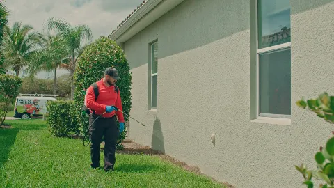 All U Need Pest Control in Jacksonville