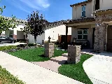 Green Planet Landscape photo 4