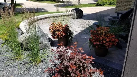 Champagne Landscaping photo 1