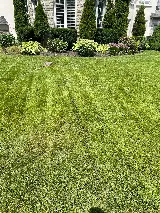 AUR Landscaping & Renovation photo 7
