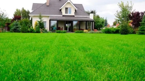 Sunrise Landscape LLC photo 1