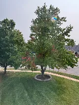 Keller's Landscaping photo 7