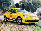 Truly Nolen Pest & Termite Control photo 2