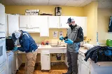 Johnny B's Pest Control photo 8
