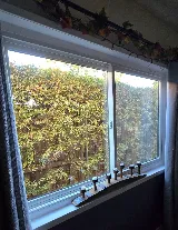 Anytime Windows and Doors photo 2