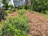 Nature First Landscaping