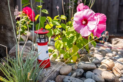 Pro Edge Landscape Inc. photo 1