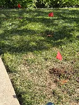 Brooks Pest Control photo 5