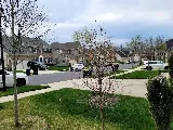 B.O.G. Pest Control photo 2