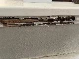 South Plains Pest Control photo 5