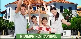 Maximum Pest Control Services. photo 6