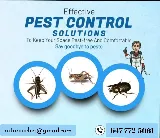 Rat N Roaches Pest Control photo 6