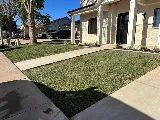 Trani's Landscaping