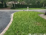 Bob's Bugs