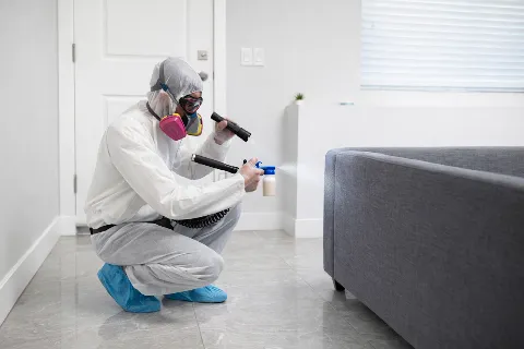 Areeba Pest Control in Langley