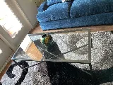 Careful Movers, Inc. photo 7