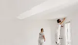 Sustainable Painters