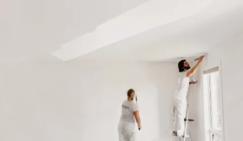 Sustainable Painters photo 1