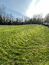 Taylor Made Landscaping photo 5