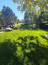 Ultimate Yard Care photo 2