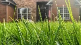 Green Path Landscape Co.