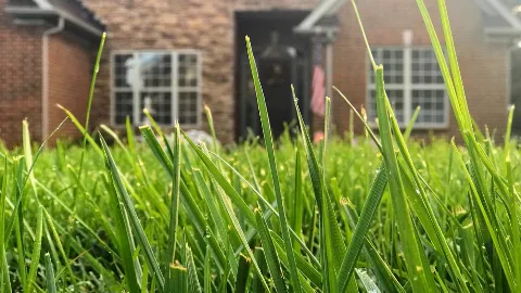 Green Path Landscape Co. photo 1