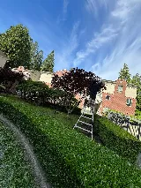 Maplezorean Landscaping Ltd. photo 6