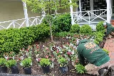 Quiet Village Landscaping photo 8