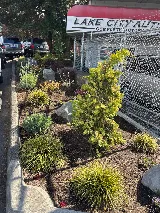 Seattle Sustainable Landscapes photo 6
