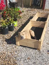 Leading Edge Landscaping and Supply photo 5