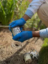 Lookout Pest Control photo 4