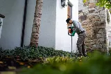 Greenix Pest Control photo 3