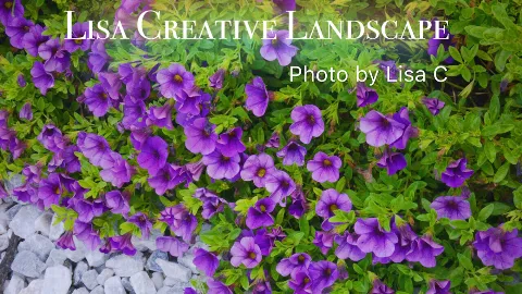 Lisa Creative Landscape LLC in Chicago
