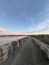 Landscape Pro photo 7