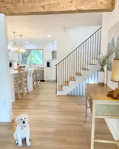 Refloor in Indianapolis