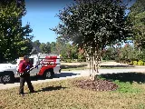 Go-Forth Pest Control photo 4