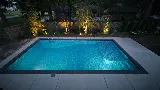 Poolside Pros