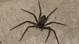 Mid Central Pest Control photo 4