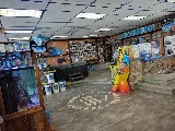 Clearwater Pool & Spa photo 3