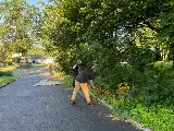 PK Landscape Associates