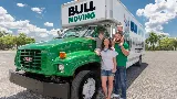 Bull Moving
