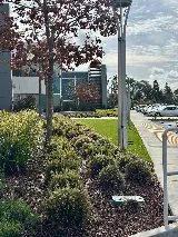 Malagon Legacy Landscaping photo 6