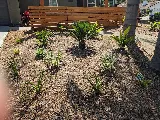 MSE Landscape Professionals photo 4